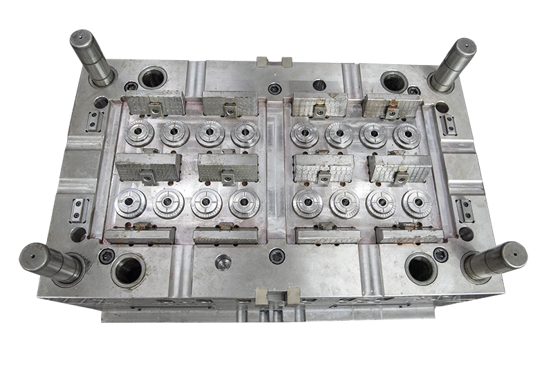 DSC_3118-1 DSC_3118-1